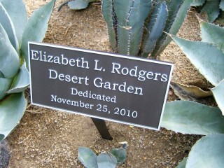 elizabeth-rodgers1_1_1